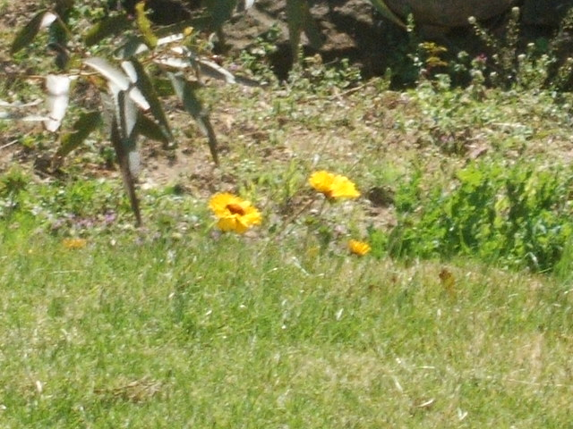 2012_0406yatugasira30011