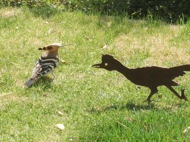 2012_0407yatugasira40010