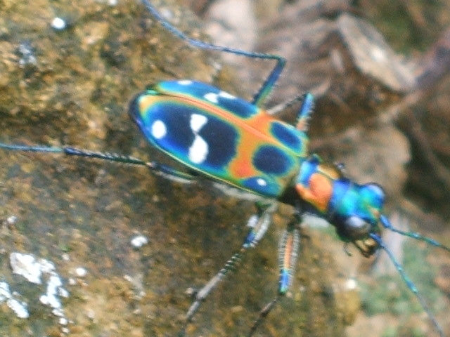 2012_0729oosato0071_2