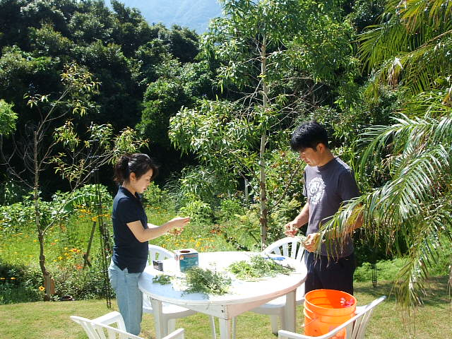 2013_0607wedding0007