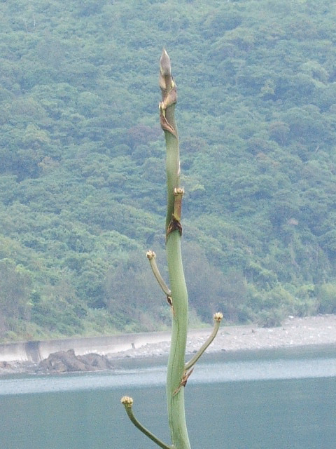 2013_0607wedding0078